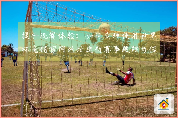提升观赛体验：如何合理使用世界杯竞猜官网地址进行赛事跟踪与信息获取