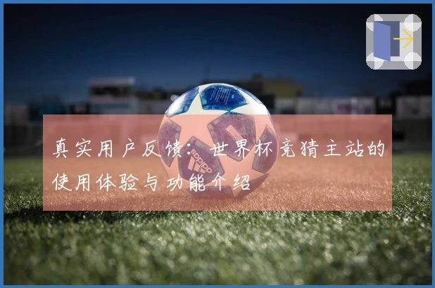 真实用户反馈：世界杯竞猜主站的使用体验与功能介绍