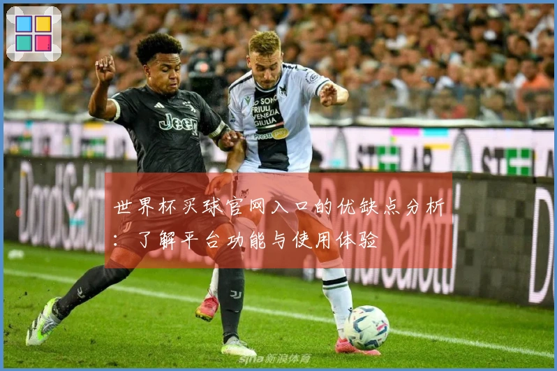 世界杯买球官网入口的优缺点分析：了解平台功能与使用体验
