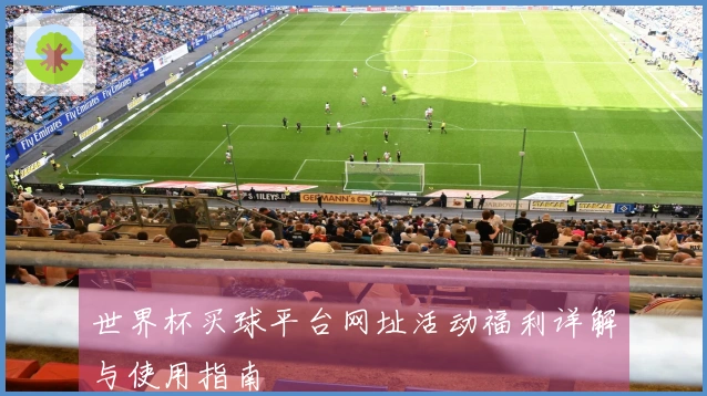 世界杯买球平台网址活动福利详解与使用指南