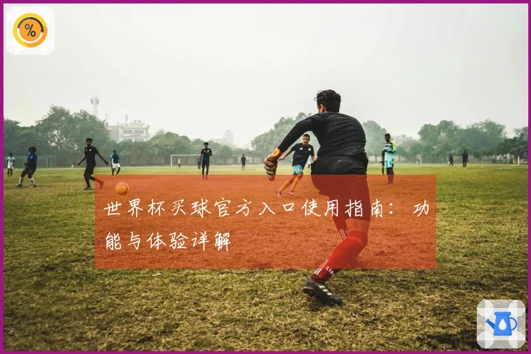 世界杯买球官方入口使用指南：功能与体验详解