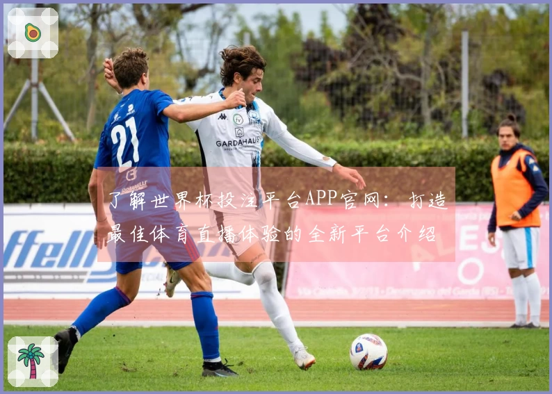 了解世界杯投注平台APP官网：打造最佳体育直播体验的全新平台介绍