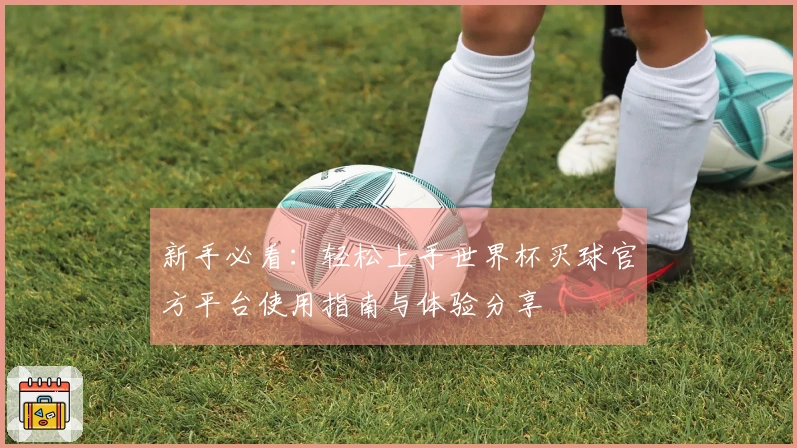 新手必看：轻松上手世界杯买球官方平台使用指南与体验分享