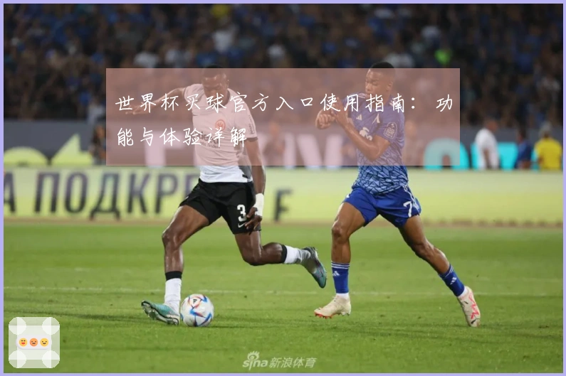世界杯买球官方入口使用指南：功能与体验详解