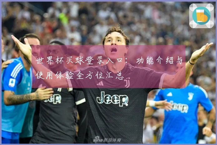 世界杯买球登录入口：功能介绍与使用体验全方位汇总