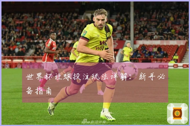 世界杯让球投注玩法详解：新手必备指南