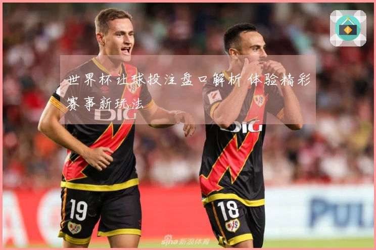 世界杯让球投注盘口解析 体验精彩赛事新玩法