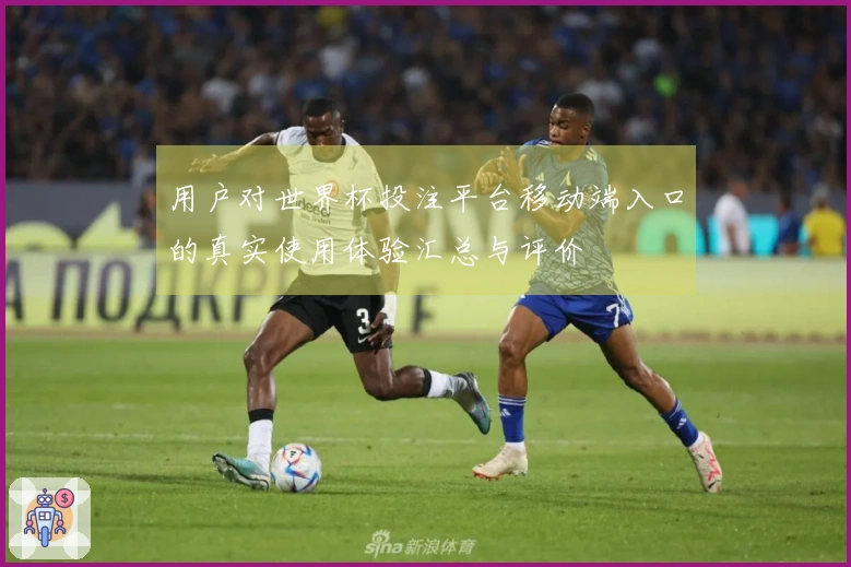 用户对世界杯投注平台移动端入口的真实使用体验汇总与评价