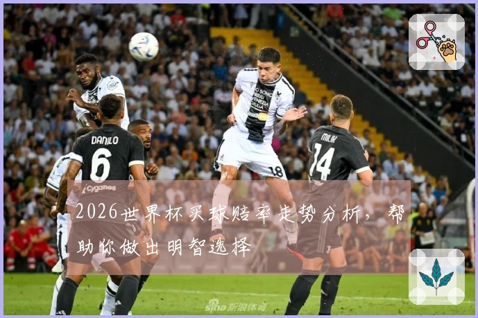 2026世界杯买球赔率走势分析，帮助你做出明智选择