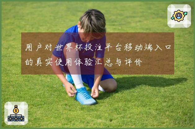 用户对世界杯投注平台移动端入口的真实使用体验汇总与评价