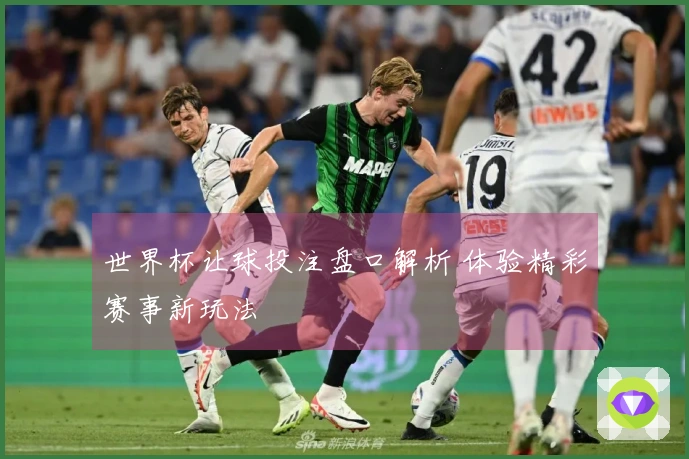 世界杯让球投注盘口解析 体验精彩赛事新玩法