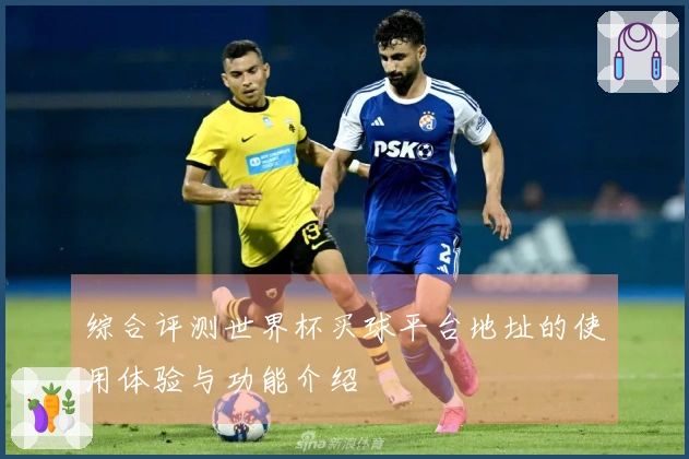 综合评测世界杯买球平台地址的使用体验与功能介绍