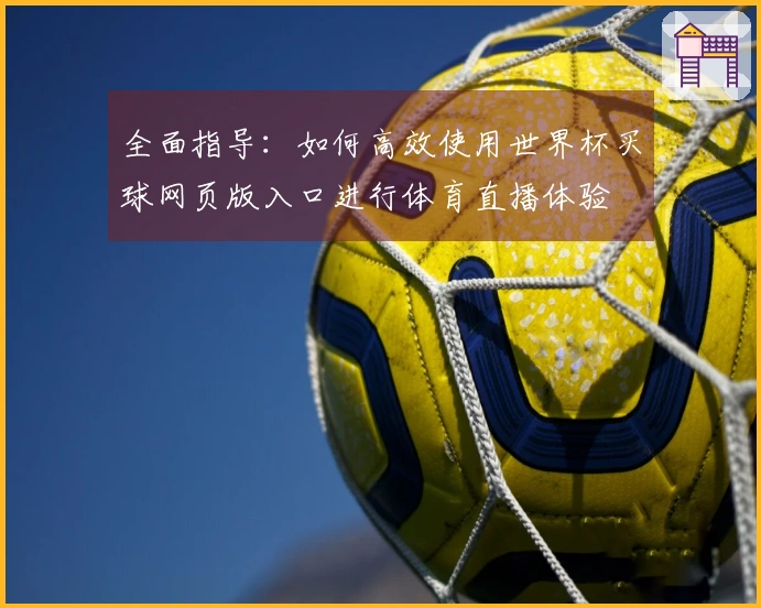 全面指导：如何高效使用世界杯买球网页版入口进行体育直播体验